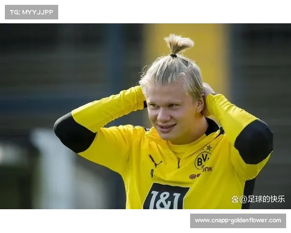 射手榜：哈兰德20球领跑，伊戈尔追至差4球